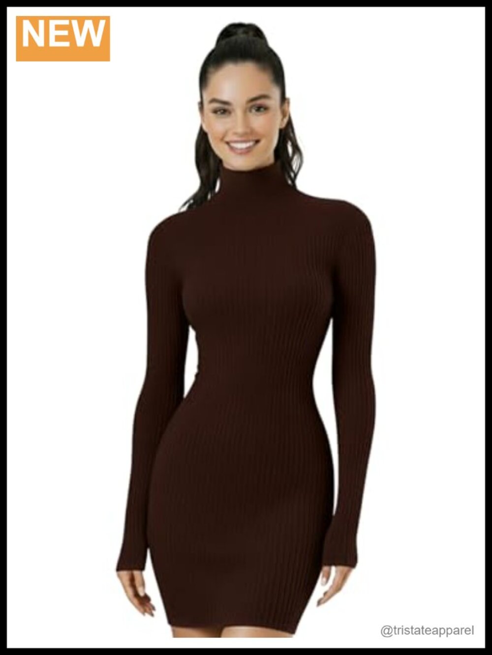 Turtleneck Long Sleeve Bodycon Mini Knit Sweater Dress